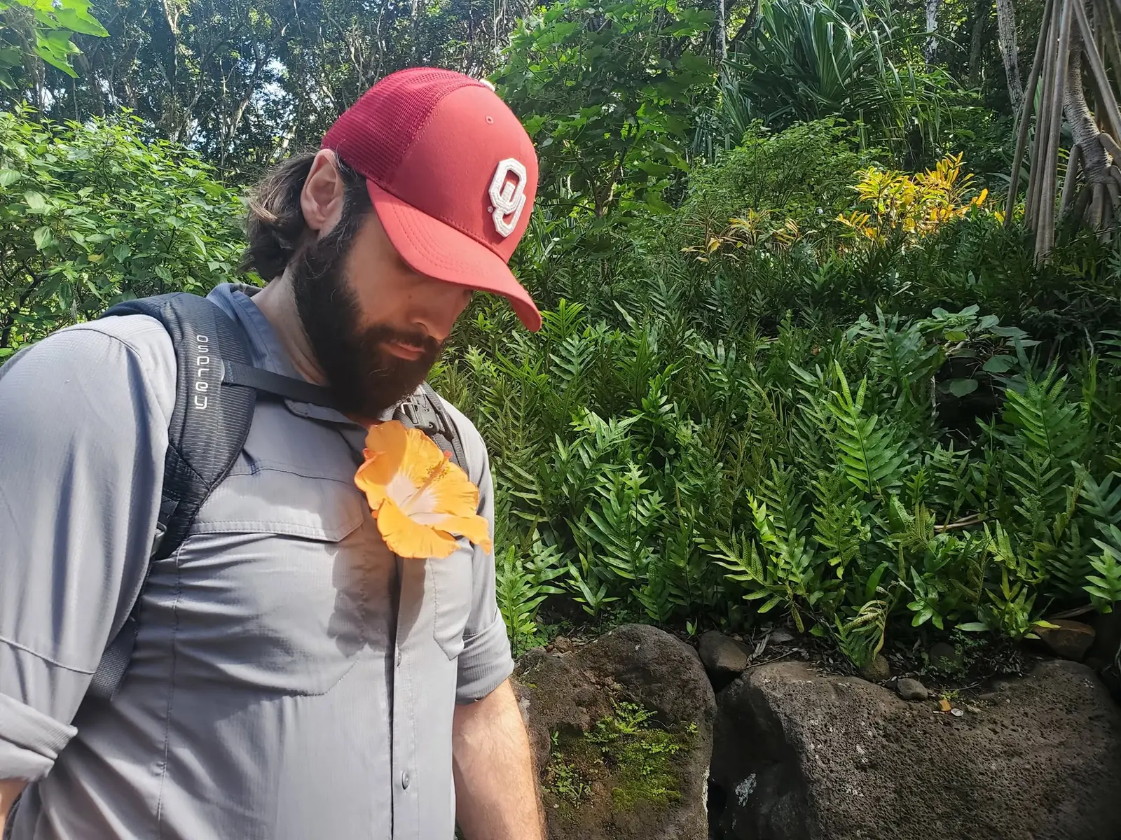 Mitch hiking through tropical greenery in an OU cap with a day pack